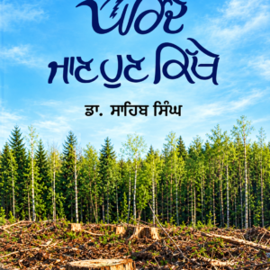 Parinde-Jaan-Hun-Kithe